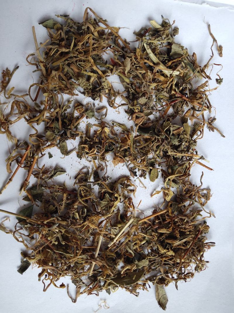 山银花开花碎统货批发诚信经营支持混批量大从优