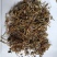山银花开花碎统货批发诚信经营支持混批量大从优