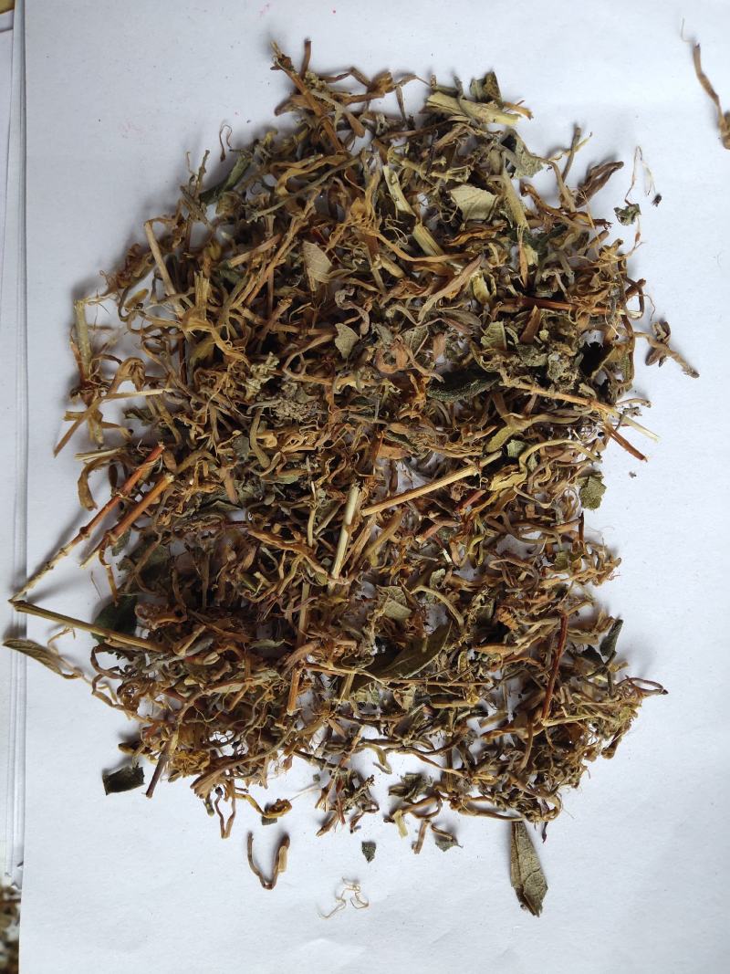 山银花开花碎统货批发诚信经营支持混批量大从优