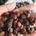 砂仁各种规格干货量大从优欢迎选购