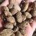 砂仁各种规格干货量大从优欢迎选购