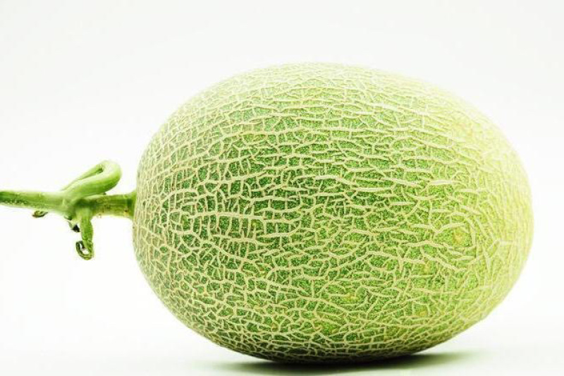 海南海滩25号哈密瓜🍈