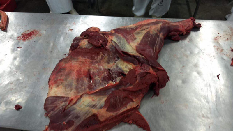 巴西，3576马肉，前后腿，肋条，