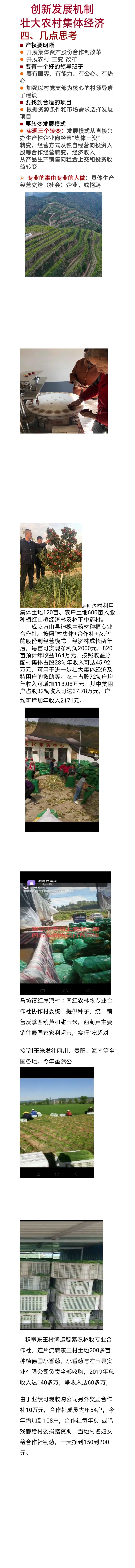 万糯2000大量上市，货源充足，