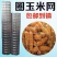 养殖网粗丝镀锌电焊网兔笼鸽笼鸟笼宠物笼圈玉米专用网