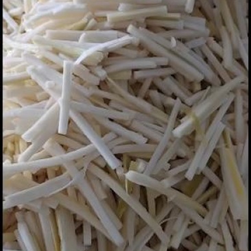 广东省英德市西牛镇麻竹笋，酸笋，盐笋丝，生笋片