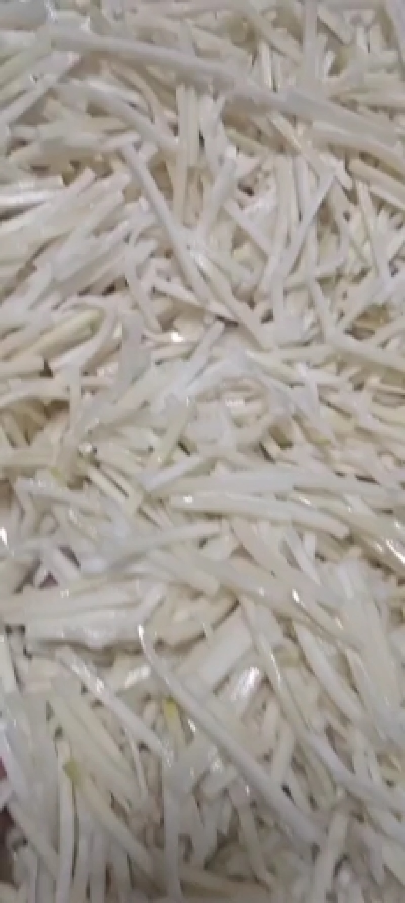 广东省英德市西牛镇麻竹笋，酸笋，盐笋丝，生笋片