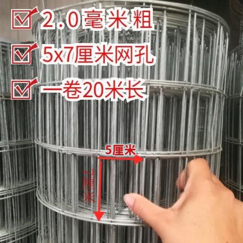 养殖网粗丝镀锌电焊网兔笼鸽笼鸟笼宠物笼圈玉米专用网