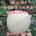 新品特大早熟奶油富士王冰糖心苹果树苗南北方种植耐寒耐旱