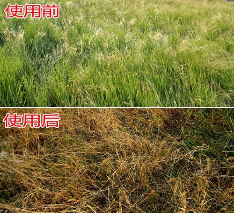闪安90%2甲·草甘膦荒地果园非耕地杂草农用除草剂