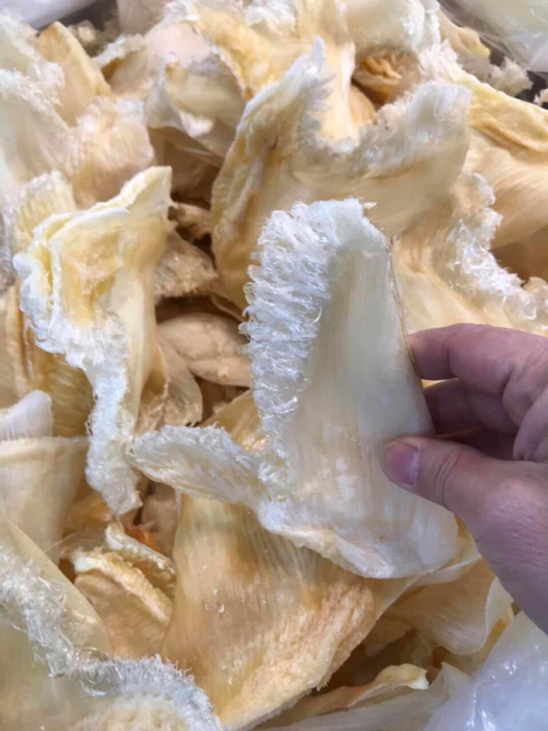 鱼翅6-8寸只翅花翅针多干度好滋补海味干货好食材好营养