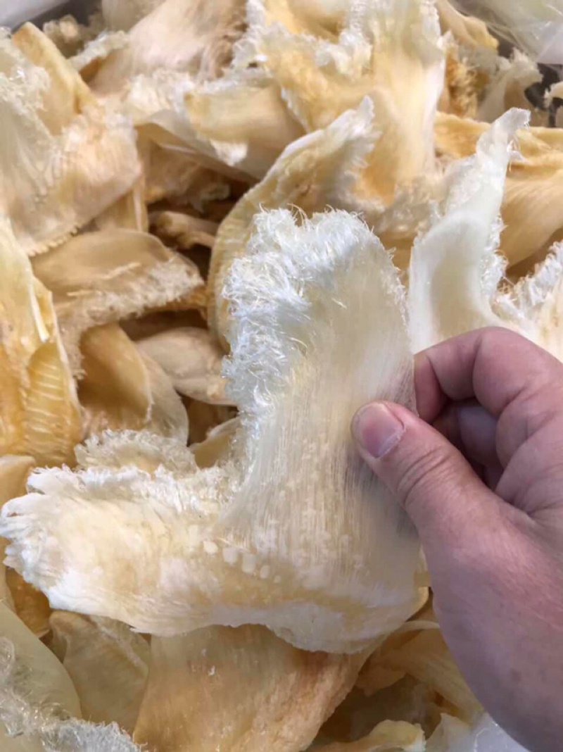 鱼翅6-8寸只翅花翅针多干度好滋补海味干货好食材好营养