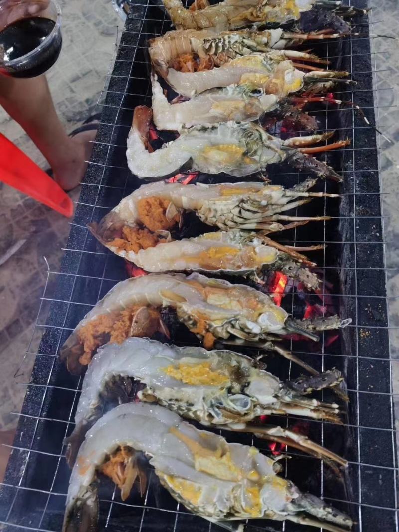 高品质活冻小青龙虾，上海一手货源批发。全规格一件十公斤