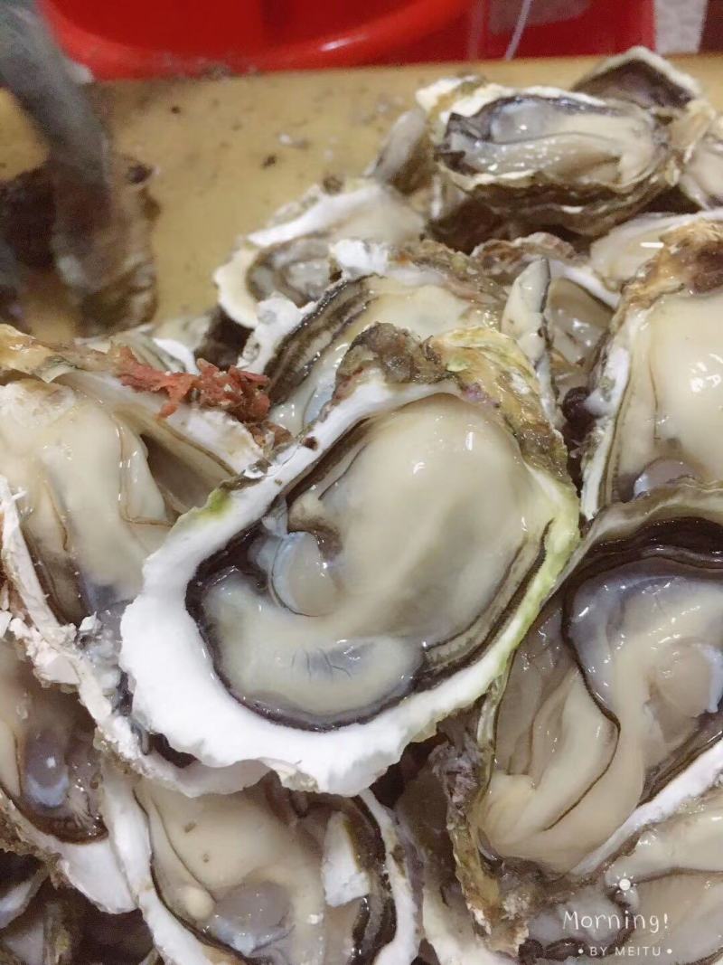 深圳市地摊生蚝批发配送