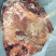 马肉，巴西，前后腿，肋条，