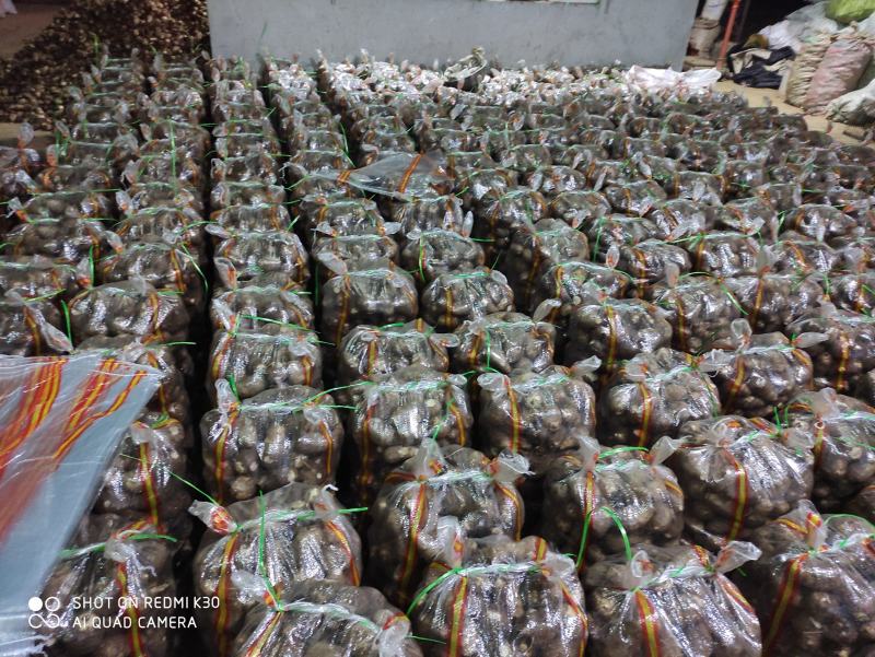 2025年芋头新鲜芋头加工各种规格