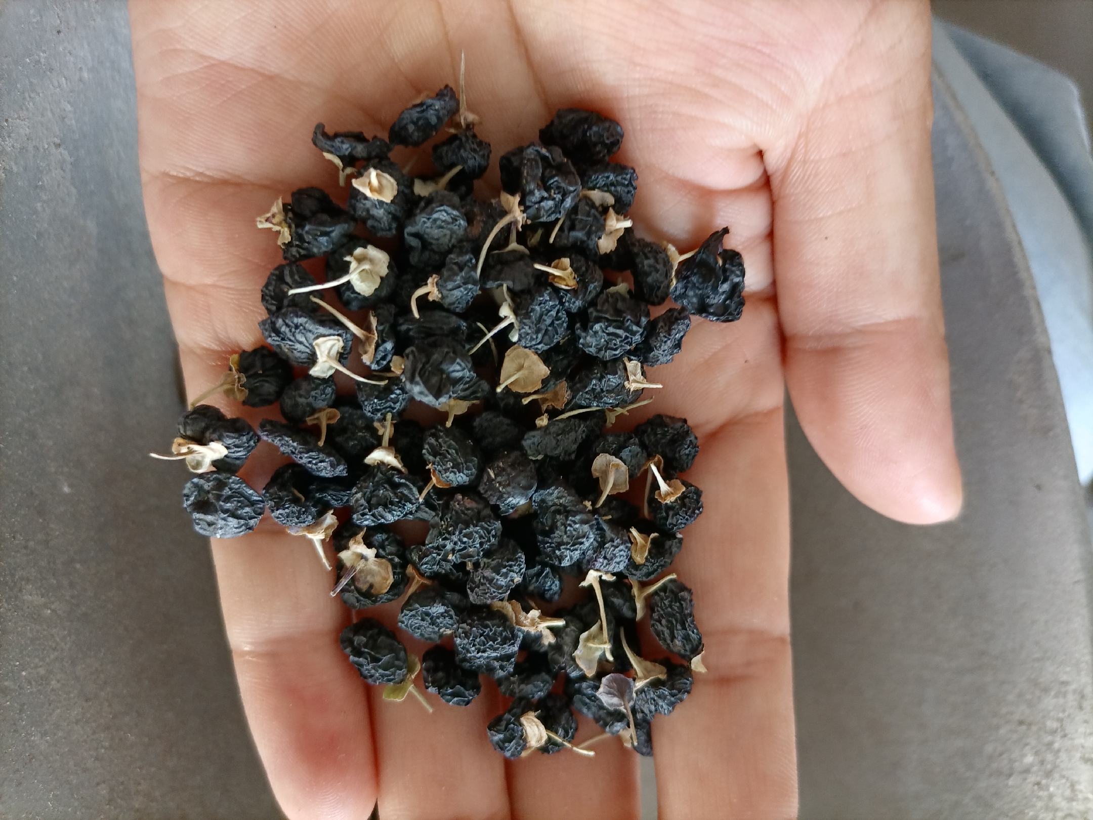 熟地黄外观与常见搭配食材展示