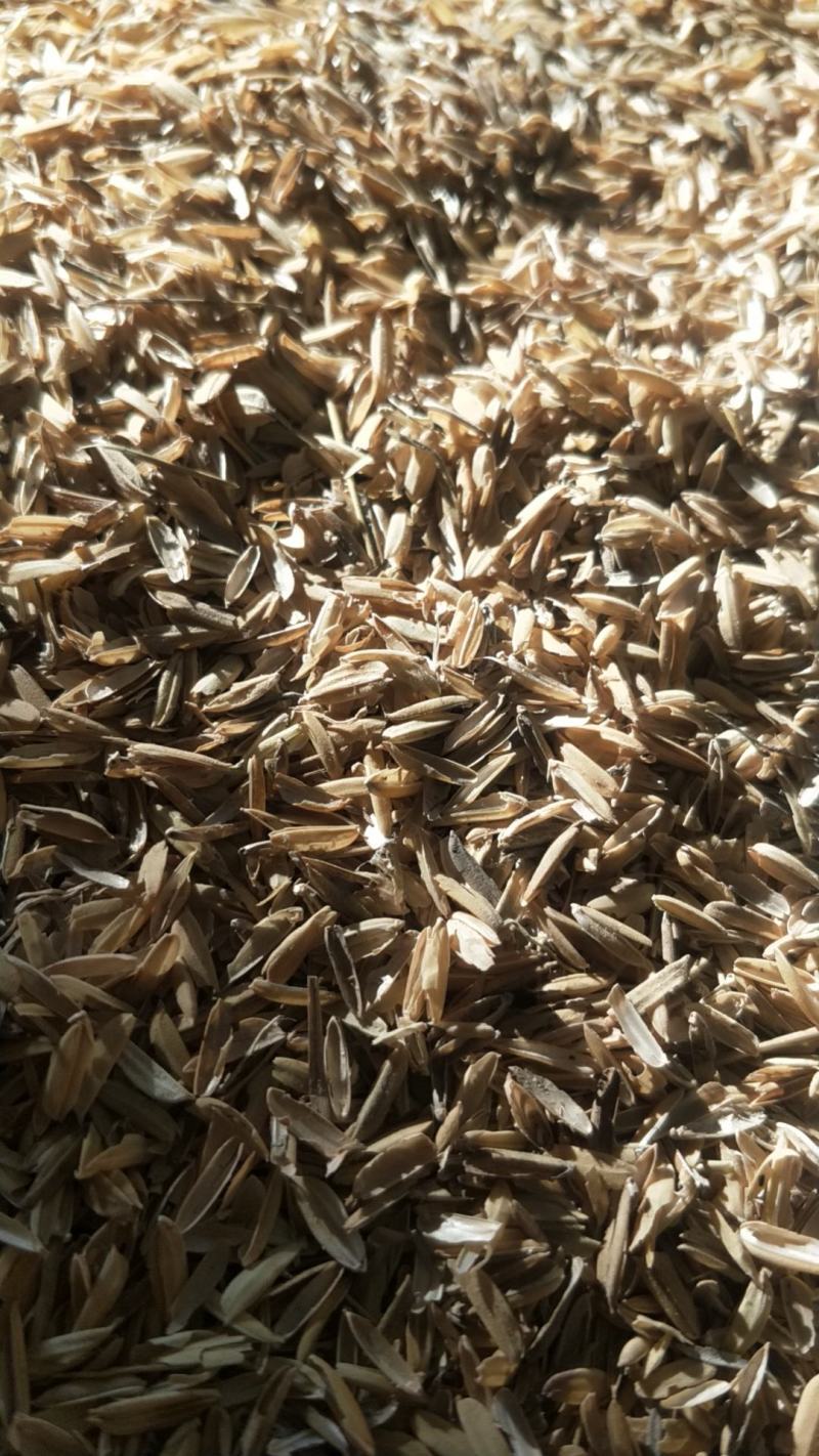 除尘压缩稻壳普通稻壳，米厂直接对接，质量保证