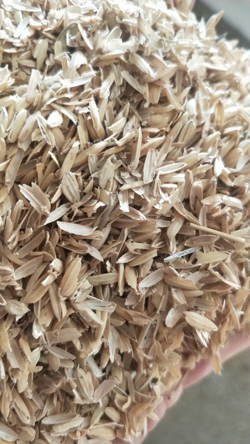 除尘压缩稻壳普通稻壳，米厂直接对接，质量保证