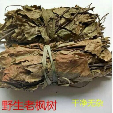 枫树叶天然无硫枫树叶产地直销