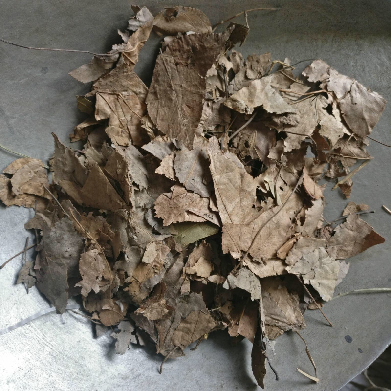枫树叶天然无硫枫树叶产地直销