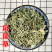 凤尾草野生凤尾草无硫无渣一手货源