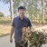 花生大白沙
