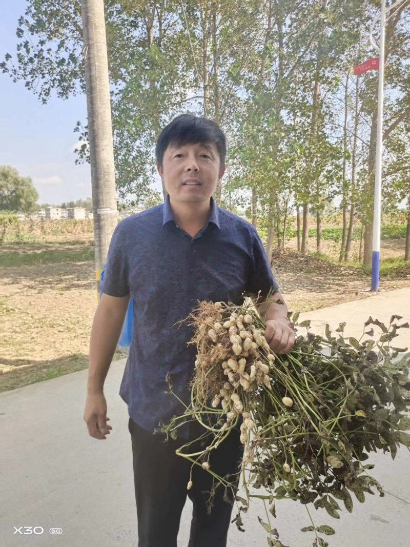 花生大白沙