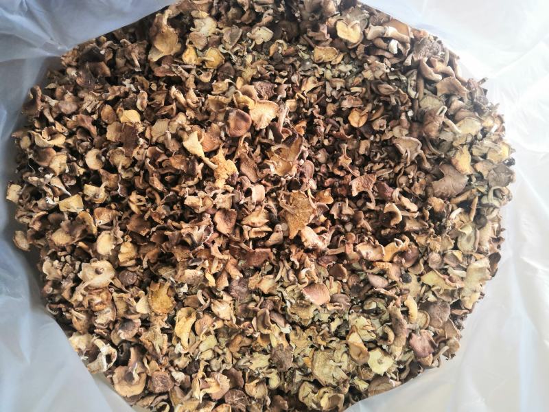 野生香菇菌干货云南2023年高山野生菌现货