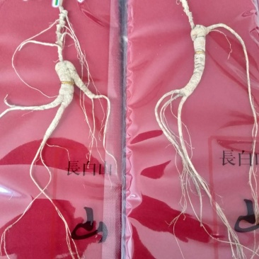 长白山林下参17-20自然生长自用超值款泡酒煲汤炖
