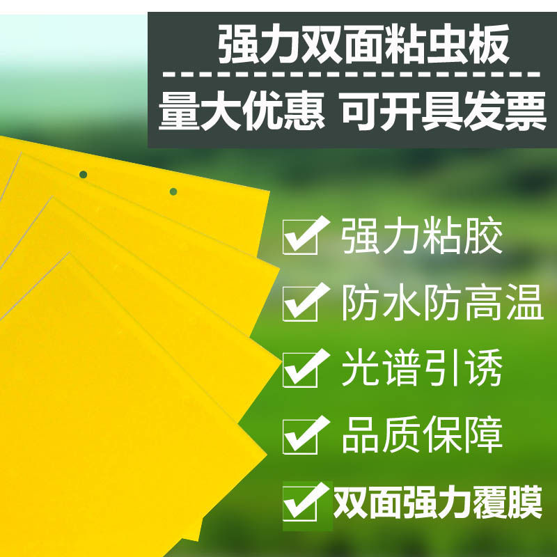 双面大棚粘虫板飞虫贴果园粘虫黄板灭小黑虫粘果蝇蓟马蓝板诱