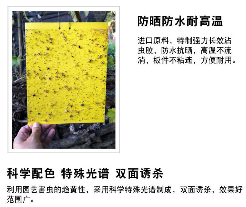 双面大棚粘虫板飞虫贴果园粘虫黄板灭小黑虫粘果蝇蓟马蓝板诱