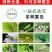 双面大棚粘虫板飞虫贴果园粘虫黄板灭小黑虫粘果蝇蓟马蓝板诱