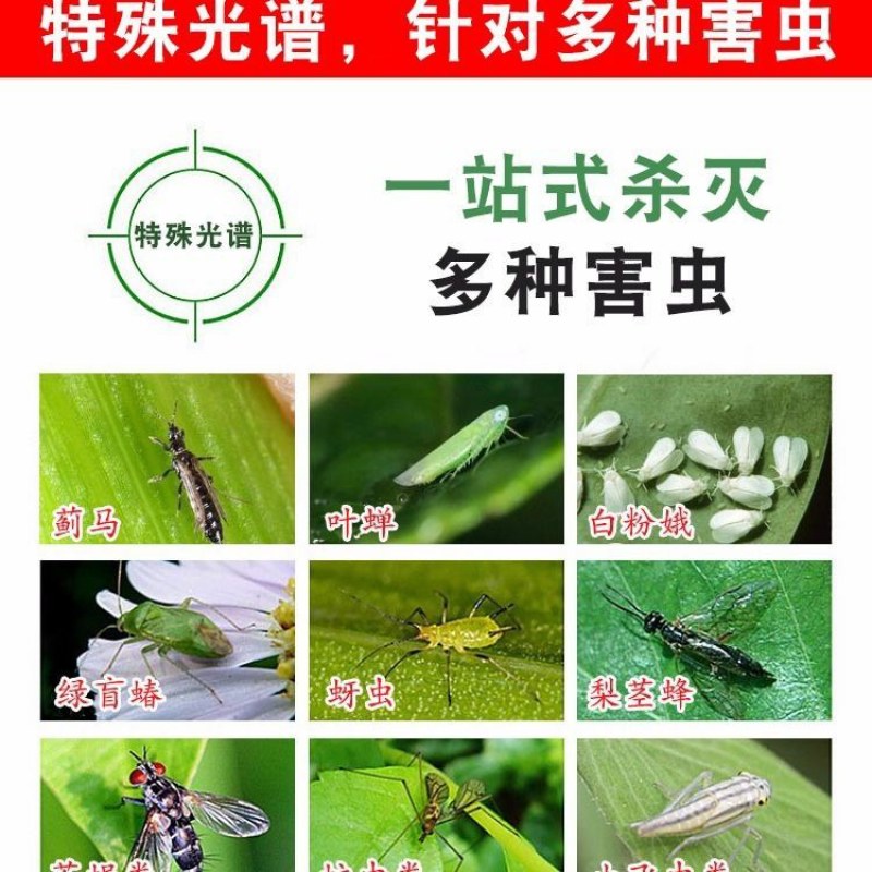 双面大棚粘虫板飞虫贴果园粘虫黄板灭小黑虫粘果蝇蓟马蓝板诱