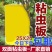 双面大棚粘虫板飞虫贴果园粘虫黄板灭小黑虫粘果蝇蓟马蓝板诱