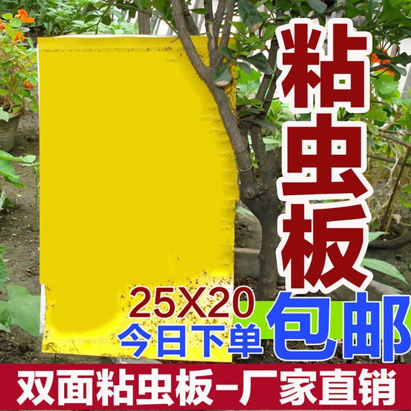 双面大棚粘虫板飞虫贴果园粘虫黄板灭小黑虫粘果蝇蓟马蓝板诱