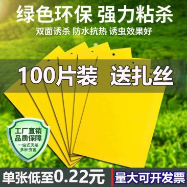 双面大棚粘虫板飞虫贴果园粘虫黄板灭小黑虫粘果蝇蓟马蓝板诱