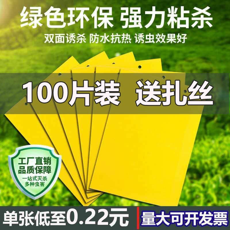 双面大棚粘虫板飞虫贴果园粘虫黄板灭小黑虫粘果蝇蓟马蓝板诱