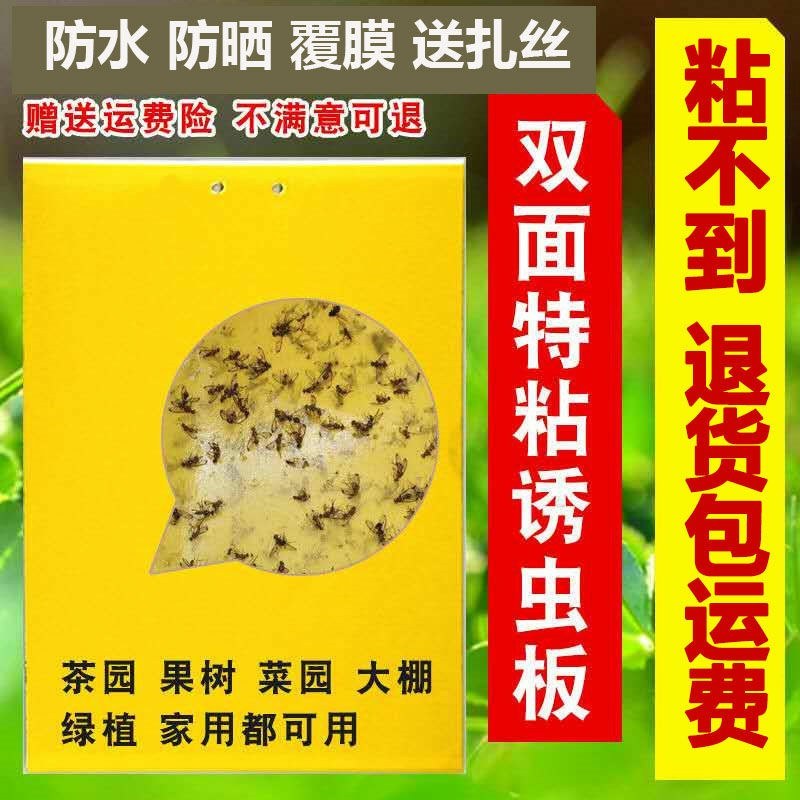 双面大棚粘虫板飞虫贴果园粘虫黄板灭小黑虫粘果蝇蓟马蓝板诱