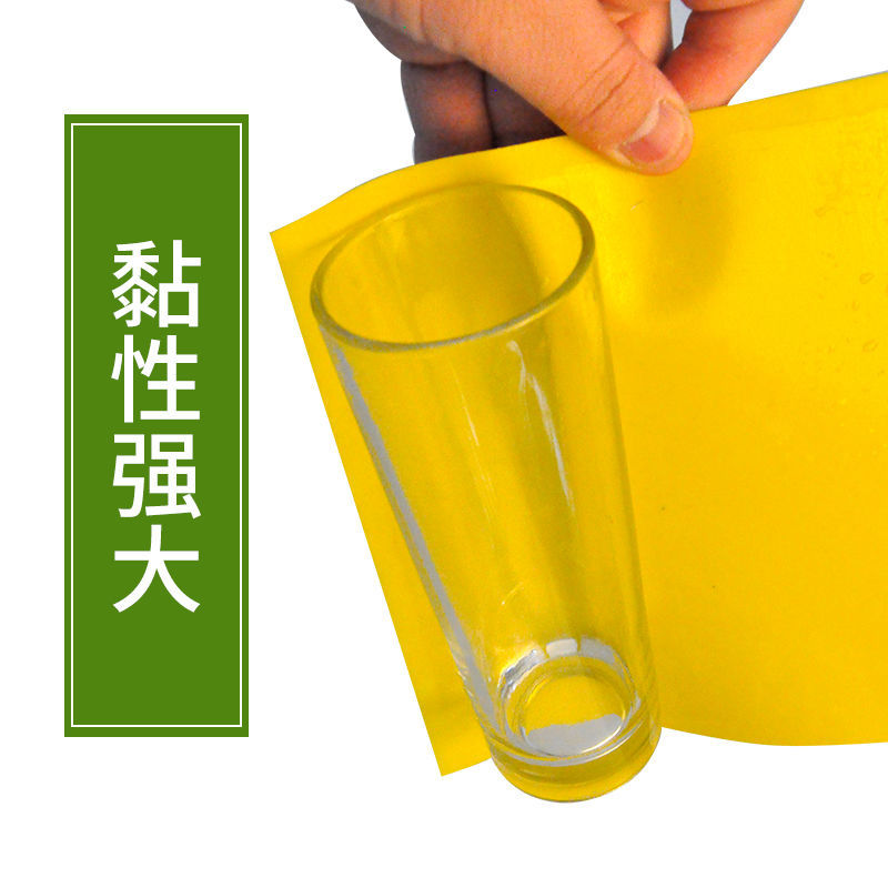 双面大棚粘虫板飞虫贴果园粘虫黄板灭小黑虫粘果蝇蓟马蓝板诱