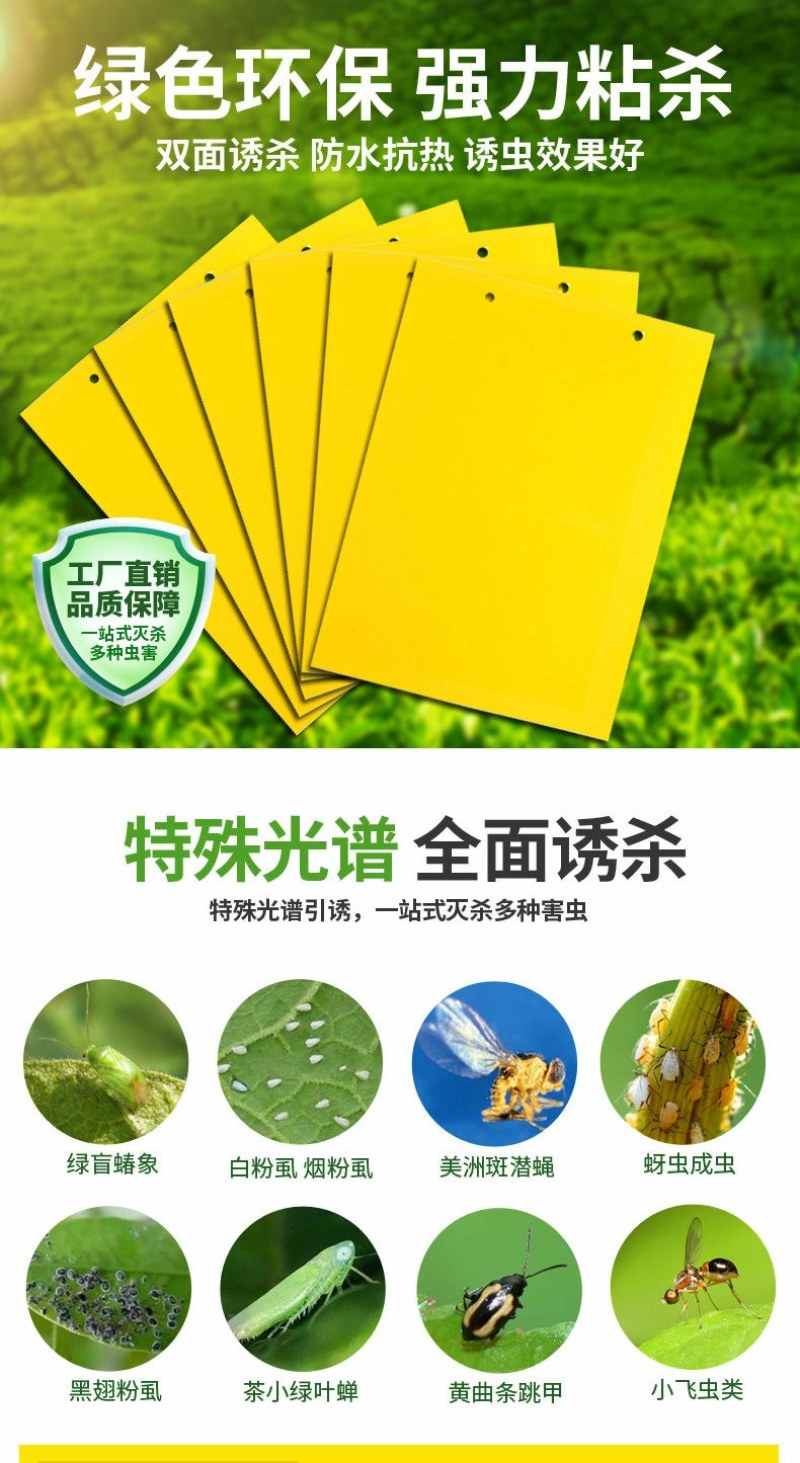 双面大棚粘虫板飞虫贴果园粘虫黄板灭小黑虫粘果蝇蓟马蓝板诱