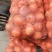山东黄皮洋葱大量供应【洋葱】冷库储存，量大质优