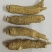 新货西洋参段整支西洋参可切片500g需要加工可以备注