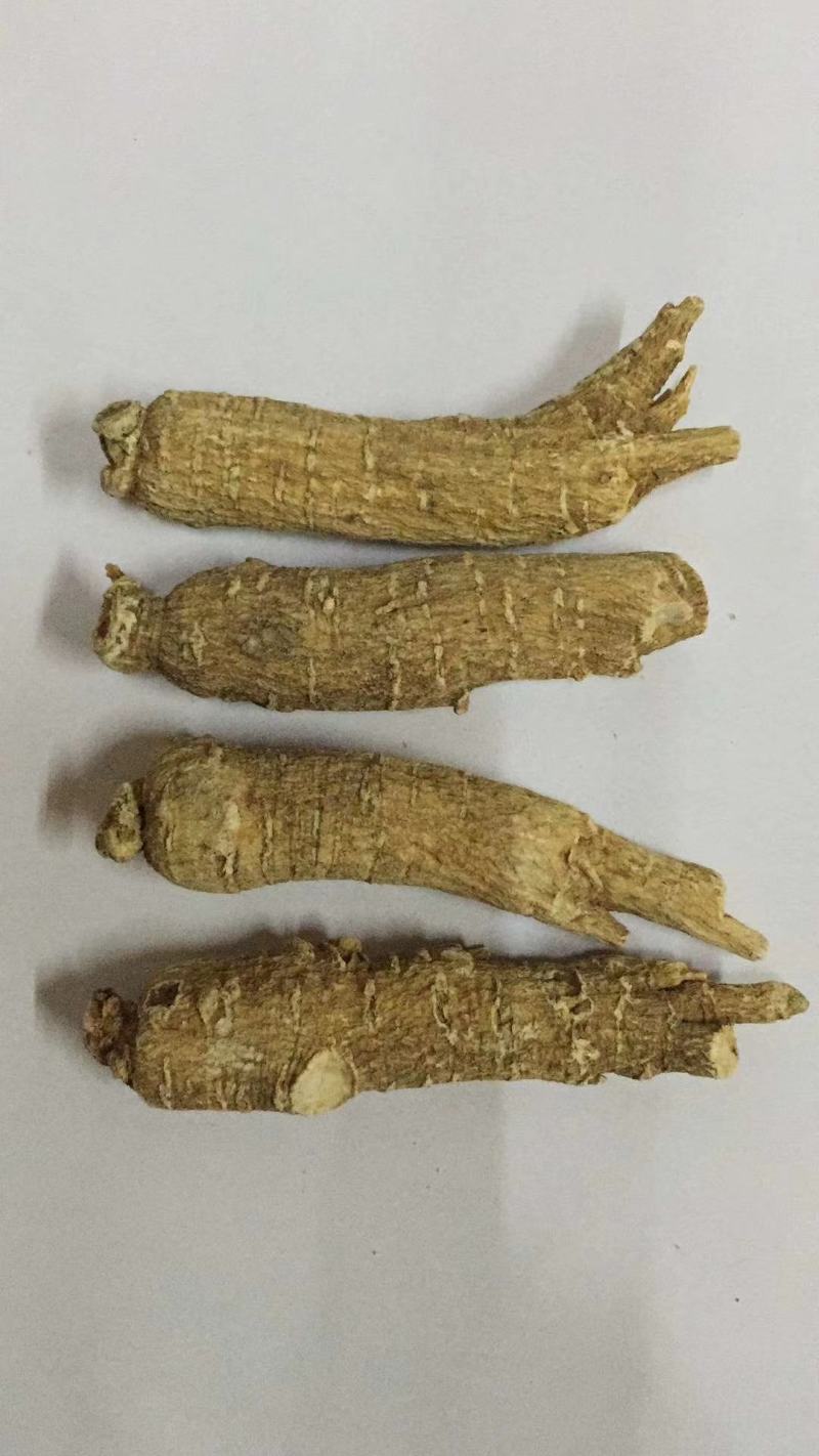 新货西洋参段整支西洋参可切片500g需要加工可以备注