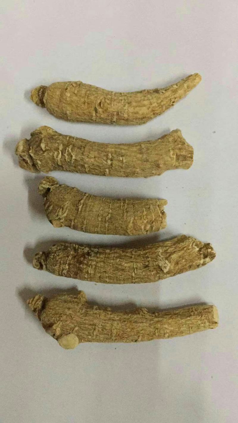 正宗东北长白山西洋参粒头正宗花旗参段整枝切片打粉多规格
