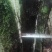 长期供应山木香下山桩，