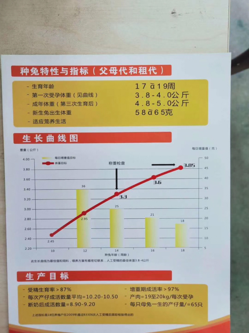 法国伊高乐伊普吕原种父母代种兔70-110日龄原种种兔