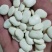 【双十一特惠】精选高山原生态白芸豆白凤豆可做豆沙用