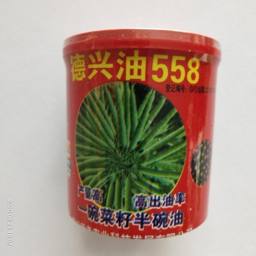 油菜籽种子抗倒伏春秋播种高产品种，杂交油菜种子