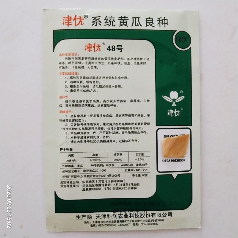 黄瓜种子油亮型皇黄瓜品种种子杂交品种青皮青瓤种子